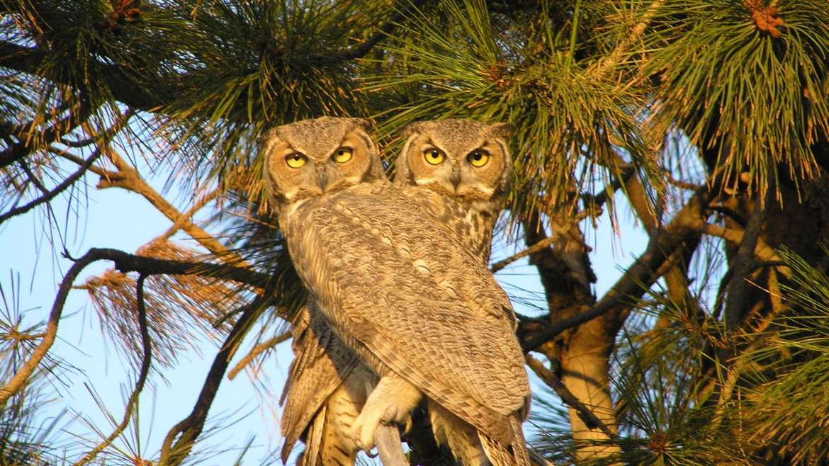 Meet Grand Oaks of Palm City’s Newest Residents